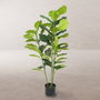 BigBuy Home Plante décorative Ficus 120 cm en Polyuréthane et Ciment
