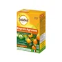 Solabiol Engrais pour agrumes - 1,5 kg - Favorise la fructification, nutrition longue durée - UAB