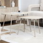 Home Deco Factory Ensemble de 2 tables gigognes Terra Nova