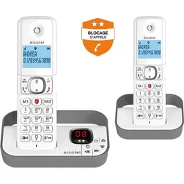 Alcatel Téléphone Fixe Sans Fil F860 Voice Duo Gris - Grand Écran, Blocage d'Appels Indésirables, Répondeur 14 min, Répertoire 100 Contacts