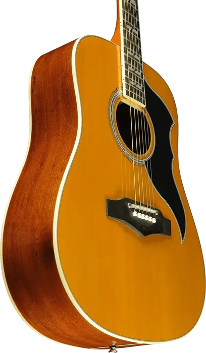 EKO Guitare Acoustique Dreadnought Ranger 6 Vr A/E Natural EKO