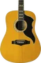 EKO Guitare Acoustique Dreadnought Ranger 6 Vr A/E Natural EKO