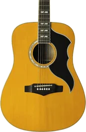 EKO Guitare Acoustique Dreadnought Ranger 6 VR A/E - Natural