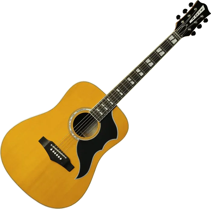 EKO Guitare Acoustique Dreadnought Ranger 6 Vr A/E Natural EKO
