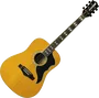 EKO Guitare Acoustique Dreadnought Ranger 6 Vr A/E Natural EKO