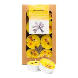 CANVELA Coffret Cadeau de 8 Bougies de Thé Parfumées à la Cannelle