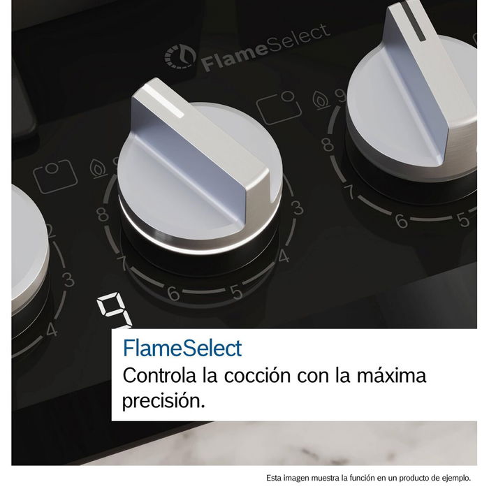 Plaque au gaz BOSCH PGH6B5K90