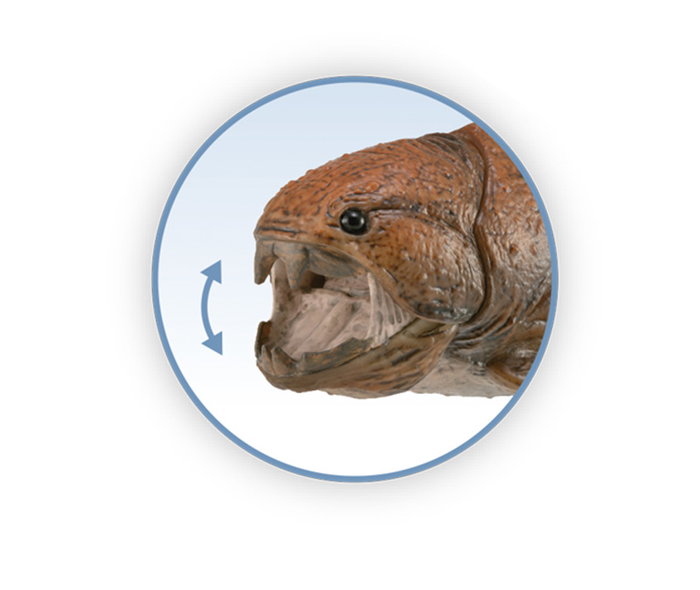 COLLECTA Dunkleosteus avec mâchoire articulée - Deluxe 1:20