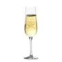 Inde Coupe de champagne Sensation Ø 5 cm 220 ml, 6 Pièces