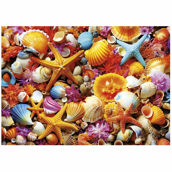 Educa Puzzle Collage de Coquillages 1000 pièces Educa Puzzle Collage de Coquillages 1000 pièces