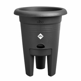Elho Pot de culture à fraises Green Basics - Noir - Ø 33 x H 42 cm