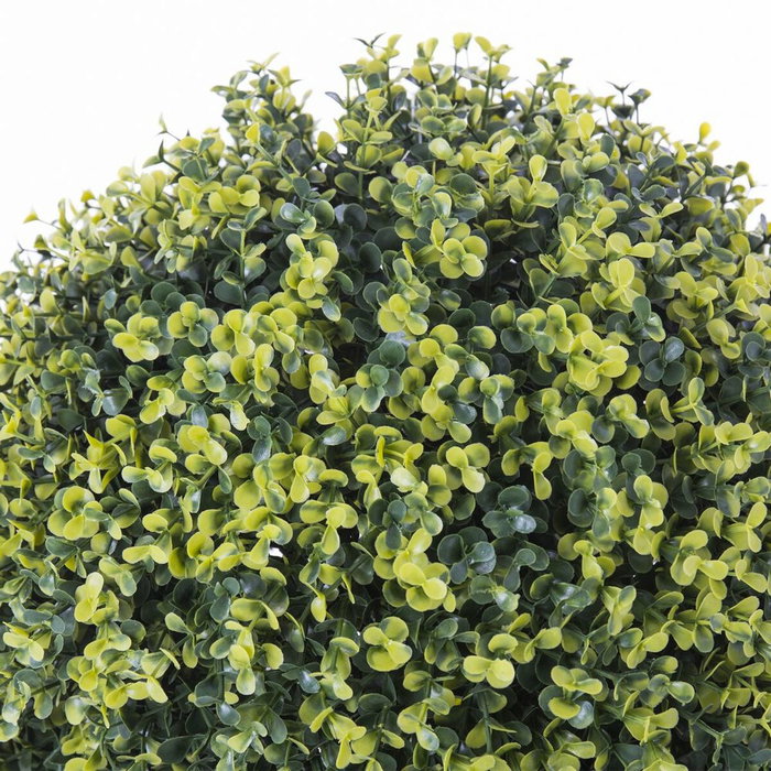 BigBuy Garden Plante décorative Ballon Printemps Jaune BigBuy Garden Plante décorative Ballon Printemps Jaune