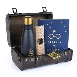 Pyramid International Harry Potter coffret cadeau Trouble Finds Me