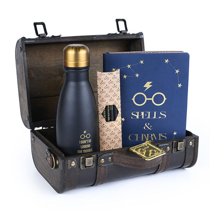 Pyramid International Harry Potter coffret cadeau Trouble Finds Me Pyramid International Harry Potter coffret cadeau Trouble Finds Me