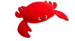 Karlie Jouet Crabsy Crabe Rouge en Néoprène