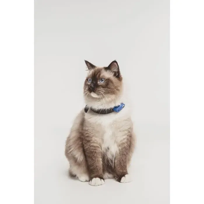 Tickless MINI CAT Répulsif ultrason contre les tiques et puces pour chat - Protection antiparasitaire portable - Coloris Greek Blue