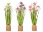 Ibergarden Ramillete Cuerda 6 Fleurs Couleurs Assorties 30x70x30 cm Pot 11 cm Plastique Pierre (Set de 3)