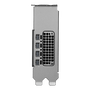 PNY RTX PRO 2000 Blackwell 16 Go GDDR7