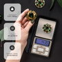 Väline Balance de précision Baia 100g