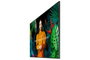 Samsung QB65C 65 pouces 4K UHD Digital Signage
