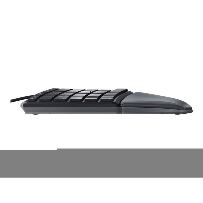 Cherry KC 4500 ERGO Clavier Ergonomique USB QWERTZ avec Repose-Poignets JK-4500DE-2 (JK4500DE2)