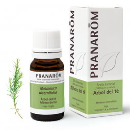 Aceite Esencial Aeqt Árbol Del Té