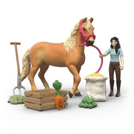 Schleich Kit de soins Emily - Gamme Horse Club