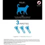 Frontline Spot On pour chat - 3 pipettes - Anti-puces, anti-tiques et anti-poux - DAPP - A partir de 1 kg et 8 semaines