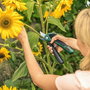 Bosch EasyPrune Sécateur sans fil (450 coupes par charge, coupe jusqu'à 25 mm)