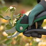 Bosch EasyPrune Sécateur sans fil
