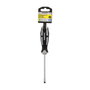 WOLFPACK LINEA PROFESIONAL Tournevis Plat Acier S2 1,0 x Ø 5,5 x 100 mm