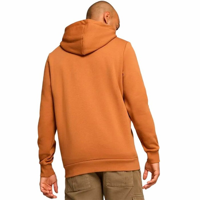 Sweat à capuche homme Puma Essentials Big Logo Hoodie Fl