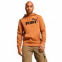 Sweat à capuche homme Puma Essentials Big Logo Hoodie Fl