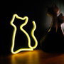 Forever Lampe Néon LED Chat Lumière Blanche Chaude USB/Piles Décoration Bureau