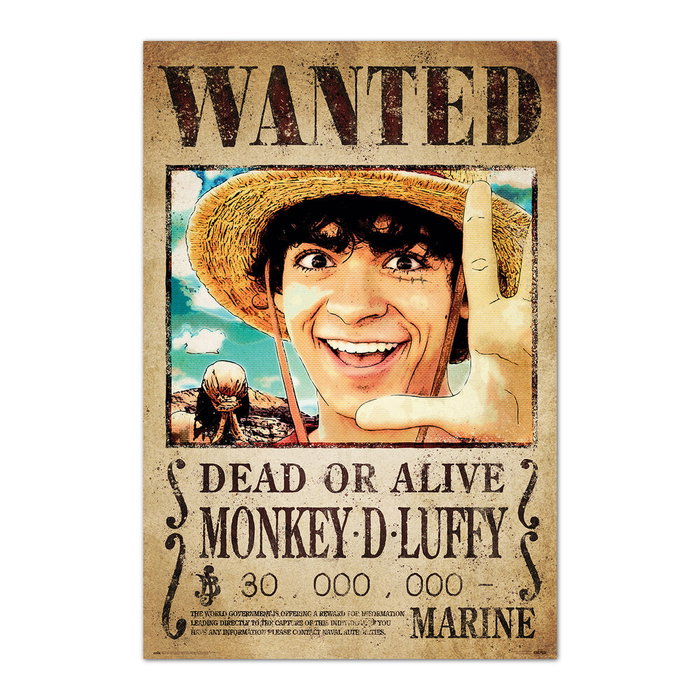 ERIK Poster Se Busca Monkey D. Luffy One Piece ERIK Poster Se Busca Monkey D. Luffy One Piece