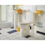 Sfa Sanisan - Broyeur adaptable pour WC à sortie horizontale, installation facile