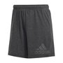 Short de Sport pour Femme Adidas Future Icons Winners Gris foncé 40,5