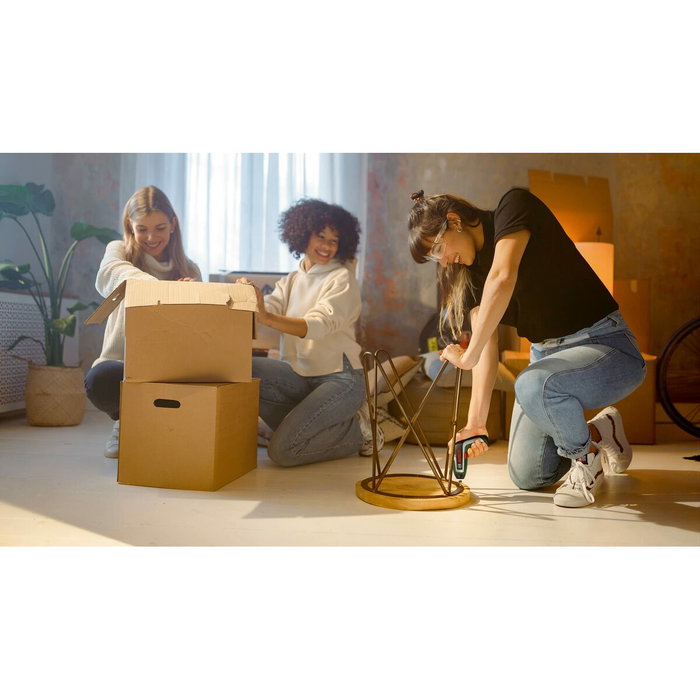 Bosch Jeu de 41 embouts + tournevis porte-embout Mini X-Lin
