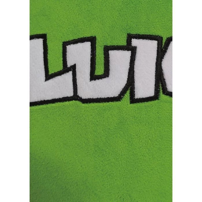Mario Bros Coussin 3D Visage Luigi en Microfibre 40 cm