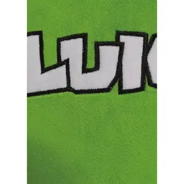 Mario Bros Coussin décoratif 3D Visage Luigi 40 cm - Microfibre velours - Idéal salon, chambre