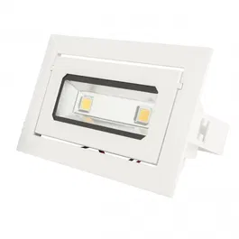 Downlight LED 20W 1685Lm 2700K Rectangulaire Basculant 40.000H [HO-DRECTBAS-20W-WW]