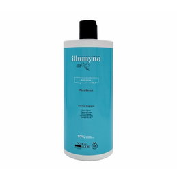 Design Look Champú Santi Frizz Allumno 1000ml