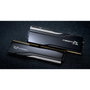 GSKILL F5-9000C4256H24GX2-TZ5CRK 48 GB DDR5 CL42