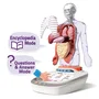 Canal Toys So Science Corps Humain Interactif 3D avec organes amovibles et quiz éducatif