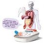 Canal Toys So Science Corps Humain Interactif 3D avec organes amovibles et quiz éducatif