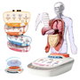 Canal Toys So Science Corps Humain Interactif 3D avec organes amovibles et quiz éducatif
