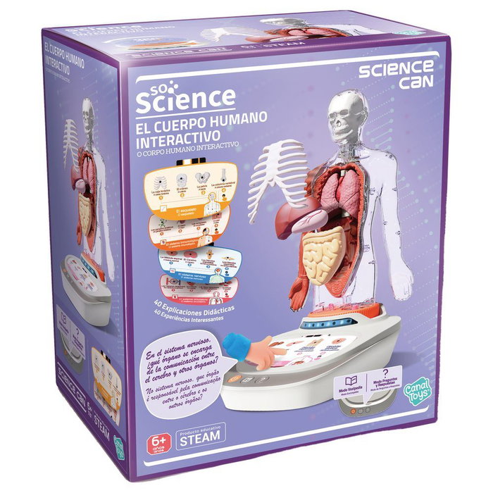 Canal Toys So Science Corps Humain Interactif 3D avec organes amovibles et quiz éducatif