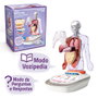 Canal Toys So Science Corps Humain Interactif 3D avec organes amovibles et quiz éducatif