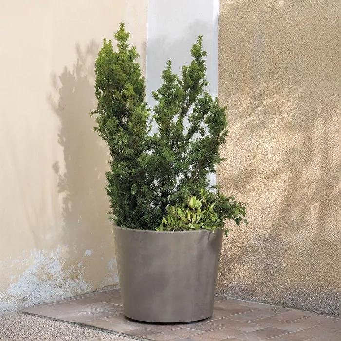 Deroma Millennium - Pot de fleurs rond 50 cm avec réserve d'eau et roulettes - Marron - 79 Litres - Pour intérieur et extérieur Deroma Millennium - Pot de fleurs rond 50 cm avec réserve d'eau et roulettes - Marron - 79 Litres - Pour intérieur et extérieur