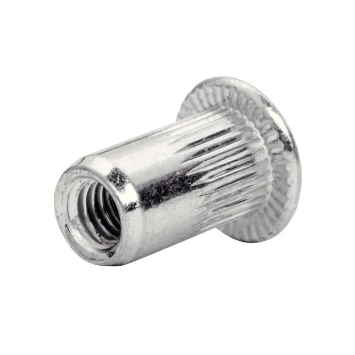 Rapid - 5001482 - Kit de fixation avec 20 écrous à sertir acier chromé M8 pour vis Ø8mm et 1 foret Ø11mm, pour fixation à l'aveugle avec pince RP110/RP160